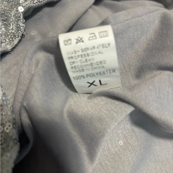 Glamorous Silver Sequin Fringe Shorts - Picture 3 of 3